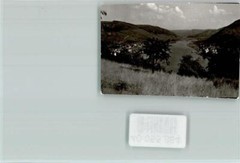 40055884 – 5584 Bullay Local View