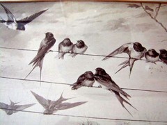MARIE LAUX Birds Auf Der Wanderschaft Franz Hanfstaengl Munich GERMANY Signed