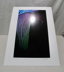 Original Photography Art Print «Calla»