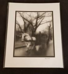 Garry Seidel Signed Photograph «Horse and Carriage» Gelatin Process 11″ x 14″