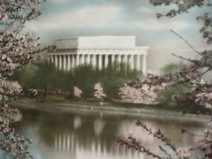 JAPANESE CHERRY TREES BUCKINGHAM WASHINGTON DC HAND COLORED PHOTOGRAPH LANDSCAPE
