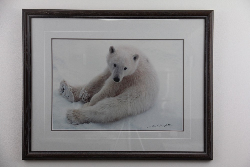 Thomas Mangelsen – signed, limited edition, framed print Snowflake- 1992