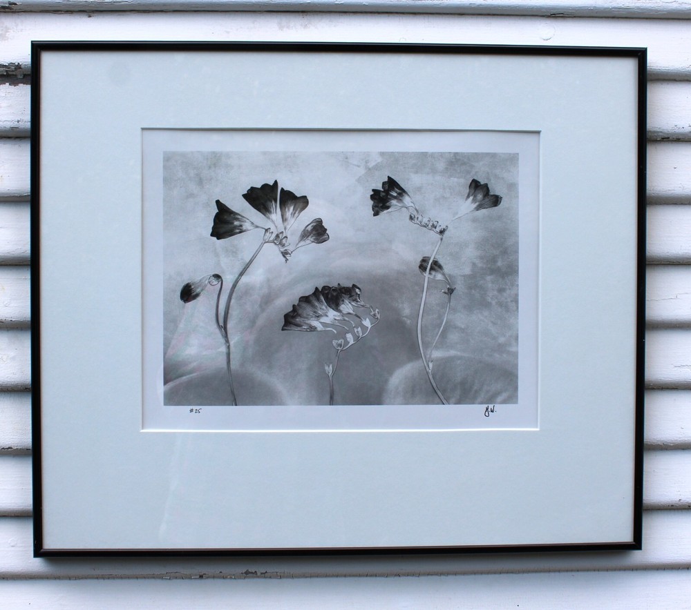 HUNTINGTON WITHERILL SIGNED 1991 Freesias Special Edition Collection #26 Framed