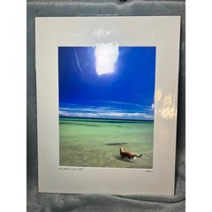 Tony Scullin Dog Beach Key West Photo Print Signed Coastal Art Matted 16×20