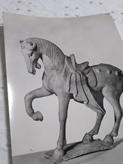 VTG RPPC Earthen Figure Of A Horse: Chinese, T’ang Dynasty MUSEUM POST CARD