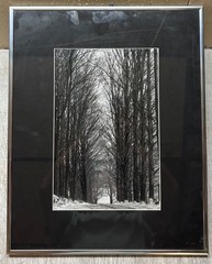 Original CLEMENS KALISCHER ‘Path in the Woods POWNAL VERMONT’ Landscape PHOTO