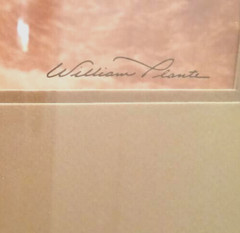 Willam Plante «Wilderness Creek» Photo 1976 Signed