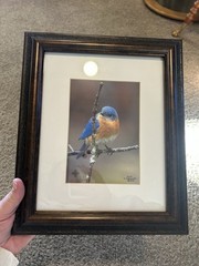 Two Signed Numbered Framed Bird Photographs Cardinal Bluebird By E.J. Kowalski