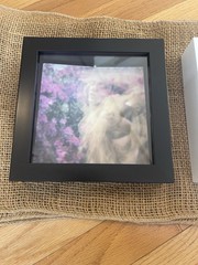 Original Artwork Polaroid On Archival Paper Wilderness Triptych 6×6 Framed $450
