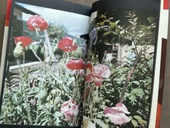 Daido Moriyama – Tales of Tono, 1976, Tono MONOGATARI, 1st Ed MEGA RARE