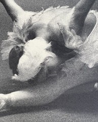 Original Max Waldman Photograph Natalia Makarova Print 1977 Ballet New York