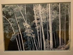 THOMAS D MANGELSEN Original Photograph