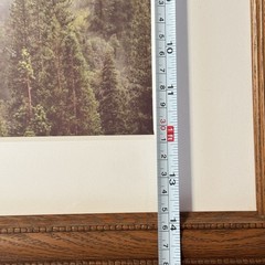 Rodney Lough The Little Rock That Could Yosemite Framed Fine Art Photograph MINT