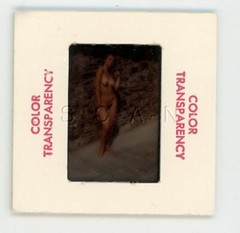 Org Nude Camera Club 60s 35mm Slide / Negative- Blond- Swimming Pool- Woman #8