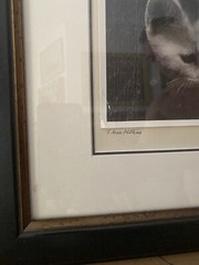 A. Aubrey Bodine American Silver Gelatin Photo Exhibited Maryland Baltimore