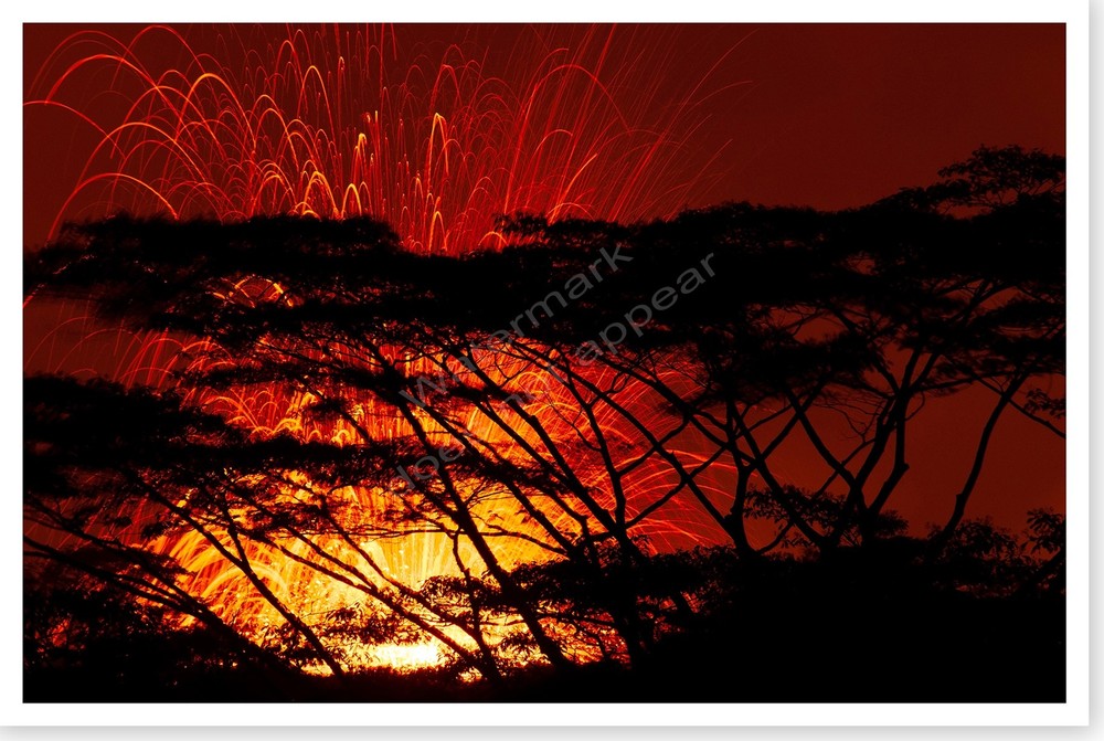 2018 Kilauea Volcano Hawaii Fissure 17 Evening Lava Fountain Silver Halide Photo