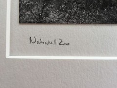 BRUCE BLUM Matted & SIGNED B&W Photo Print (10″X10″)- National Zoo»