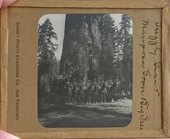 Gilbert? Hassell / Northern California Magic Lanterns Agricultural Big Trees