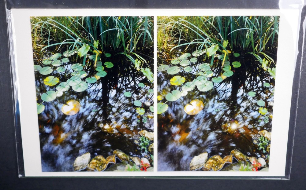 Boris Starosta 3D Stereoview – CREATIVE Small Pond Signed 2017