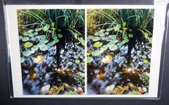 Boris Starosta 3D Stereoview – CREATIVE Small Pond Signed 2017