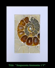 matted photograph, 5″x7″ print, mounted 3/16″ foam with 8″x10″ single white mat