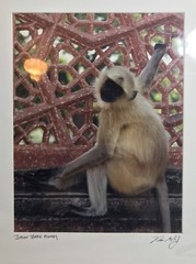 FRAMED PHOTOGRAPH – Indian Monkey Temple Signed 18 X 22