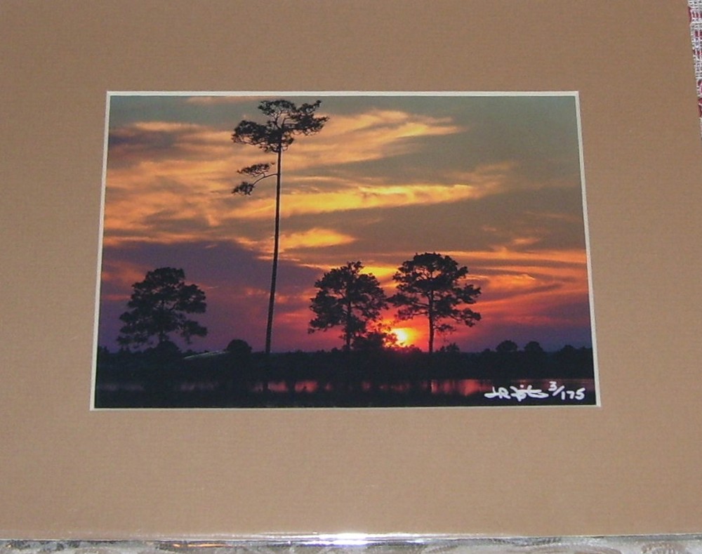 PHOTO ART SUNSET OVER GULF PANAMA CITY FL 5X7 MATTED 8X10 SIGNED #3/175