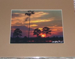 PHOTO ART SUNSET OVER GULF PANAMA CITY FL 5X7 MATTED 8X10 SIGNED #3/175
