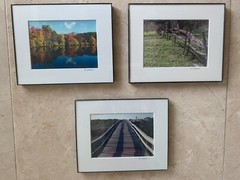 Grouping Trio Wall Art Fall Trees, Lake Ocean Boardwalk Photo Art Signed Framed