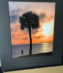 Matted Color Photograph Print Portrait Sunset Seascape Palm Tree Silhouette