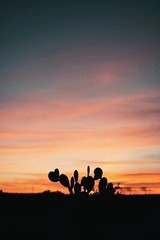 Desert photo silhouette sunsetPrint (DIGITAL DOWNLOAD) NO FRAME