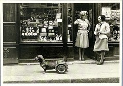 Robert Doisneau Art Photo Print Card – Dog On Wheels, 1977 – Fotofolio 4”x6”
