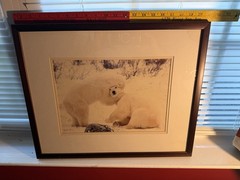 Framed Matted Polar Bear Wildlife Color Landscape Photograph Animals Nature