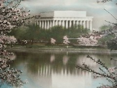 JAPANESE CHERRY TREES BUCKINGHAM WASHINGTON DC HAND COLORED PHOTOGRAPH LANDSCAPE