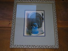 Gray Kitten Photograph w Antique Blue Enamel Coffee Pot Framed in Rose & Leaf