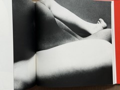 RARE 1977 First Edition Eikoh Hosoe “Embrace” Japanese Photobook Asahi Sonorama