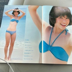 Showa Idol Seiko Matsuda Photo Collection Limited Edition Japan Genuine Product