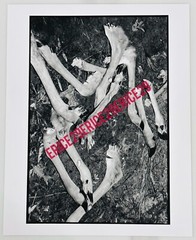 Kendall Messick Signed “Extremities” A/P (Artists Proof) 8” x 10” B/W Photograph