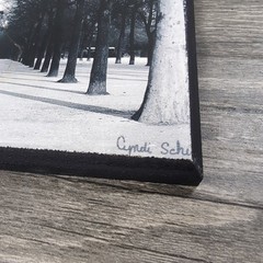 Set of 2 Cyndi Schiek Pictures On Wood 8×6” Paris City Scape Photography B&W