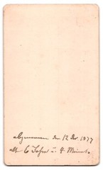 Photograph Cute Little Girl Elfriede Age 6 in Dress, 1877
