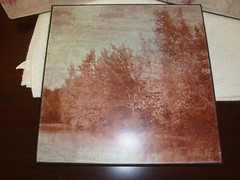 3 prints of Reflective Trees on Water Senery. 16″ x 16″ wood frames