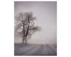 TODD HIDO 8X10 ARCHIVAL PRINT HAND SIGNED SILVER MEADOWS