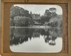 Gilbert? Hassell / Northern California Magic Lanterns Agricultural Big Trees