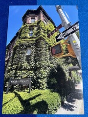 “UES Madison & 93rd St” “IVY KNOCKOUT” Signed ART Photography by SCOTT MITCHELL