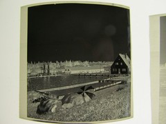 Hamburg? Free Swimming Pool Tower Jumping 16 x Genuine historical negatives