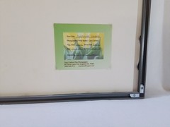 «Sunflower Graphic» – Framed Close-Up Photograph by Gary Coleman