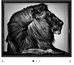 Original Artist Metal Print 24″ x 30″ “CRINIÈRE DE LION» Limited Ed. Sold Out.