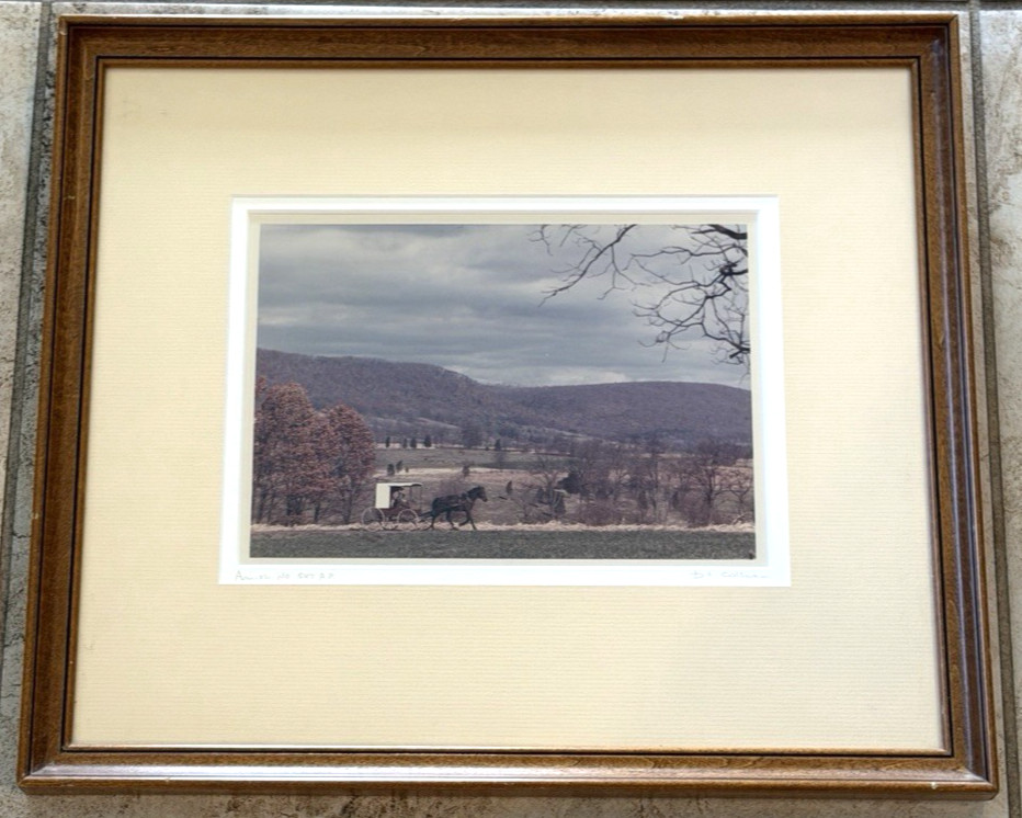 Scenic Landscape Amish Signed Bill Coleman No 547 Photography Print 14” X 17”
