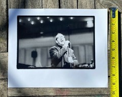 ELVIS COSTELLO ORIGINAL PHOTO FROM PRIVATE COLLECTOR