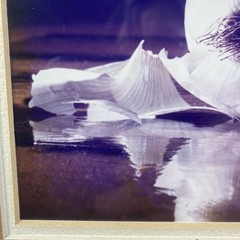 Framed Art Gore Photo Print Onion Gold Frame 16 x 12, image 9 x 7 – Food